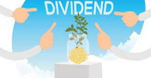 ডিভিডেন্ড পেলো বিমা কোম্পানির বিনিয়োগকারীরা