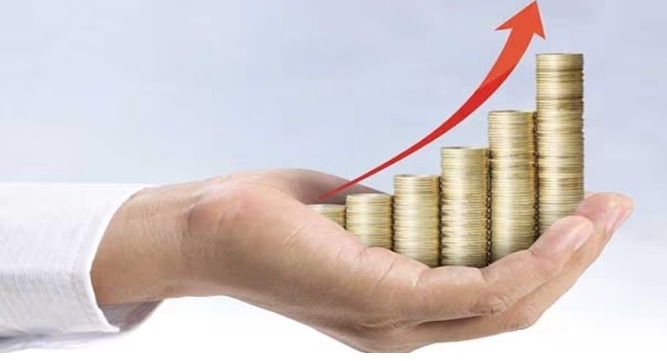 খাদ্য ও আনুষঙ্গিক খাতে মুনাফা বেড়েছে ৯ কোম্পানির