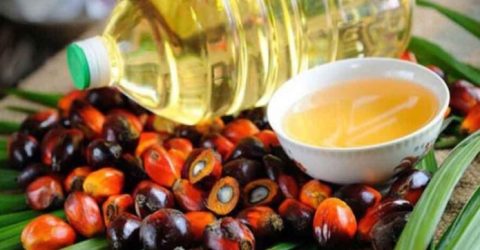 পাম অয়েলের সাপ্তাহিক দাম বেড়েছে ৪ দশমিক ৭ শতাংশ