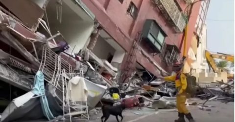 ভূমিকম্পের বড় ধাক্কা তাইওয়ানে, বীমার আওতায় ৩০% ভবন