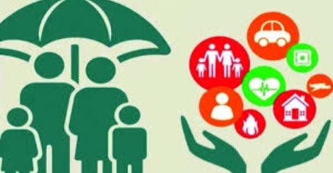 মুনাফা বেড়েছে ১৭ সাধারণ বীমা কোম্পানির