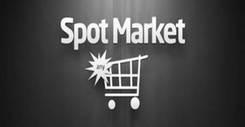 দুই কোম্পানির স্পটে লেনদেন শুরু