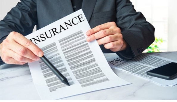 দেশের সম্পদ ও সব নাগরিককে বীমার আওতায় আনার পরিকল্পনা করেছে সরকার