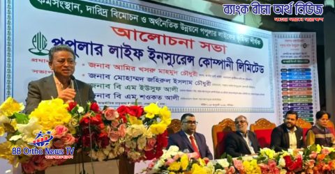 জনগুরুত্বপূর্ণ খাতে বিনিয়োগ করুন যাতে দেশ ও জনগণ উপকৃত হয়: আমীর খসরু