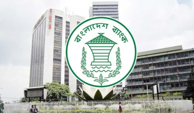 বিদেশি পরামর্শকেরা অনুমতি ছাড়াই বাইরে অর্থ পাঠাতে পারবেন