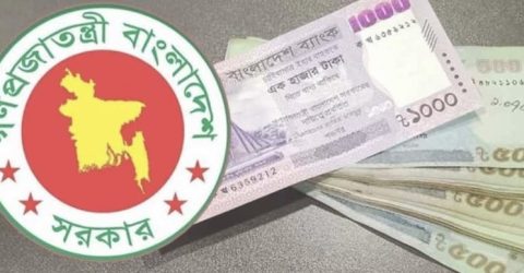 বীমার উন্নয়ন কর্মীরা পে -স্কেল নিয়ে সুখবর পেলেন