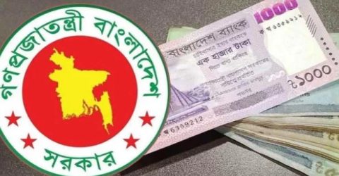 পে স্কেলে বেতন পাবেন বীমার উন্নয়ন কর্মীরা