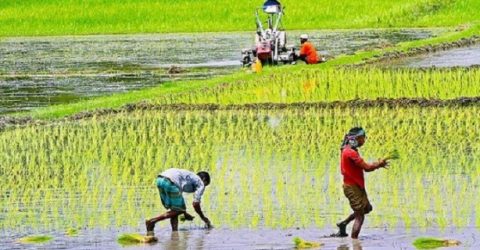 কৃষিঋণের লক্ষ্যমাত্রা বাড়ল ২১ হাজার কোটি টাকা