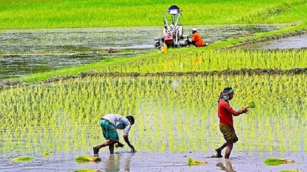 কৃষিঋণের লক্ষ্যমাত্রা বাড়ল ২১ হাজার কোটি টাকা